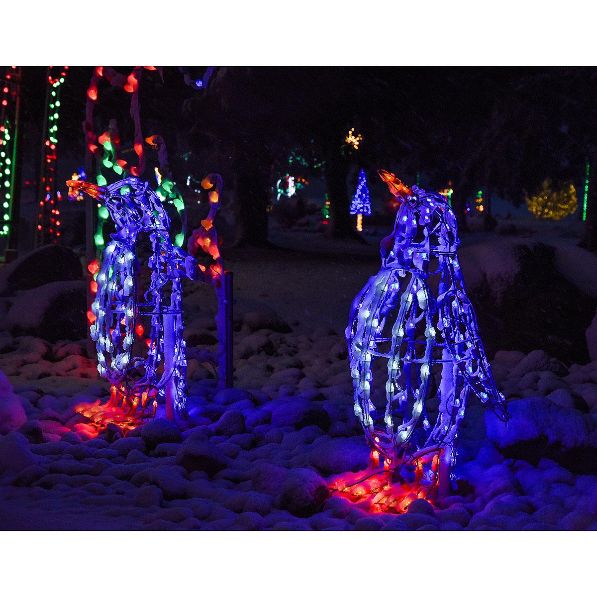 LED Lighted Penguin Outdoor Decorations